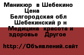 Маникюр  в Шебекино › Цена ­ 250 - Белгородская обл., Шебекинский р-н Медицина, красота и здоровье » Другое   
